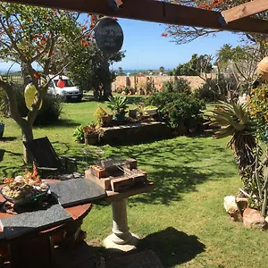 Da Vida Port Elizabeth